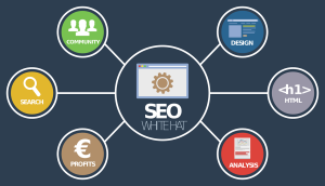 SEO Para İsrafı mı?