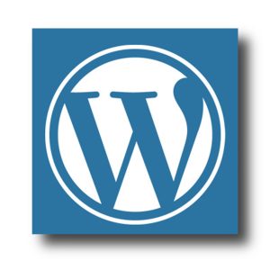 Bir WordPress Temasının Arka Plan Rengi Nasıl Değiştirilir?